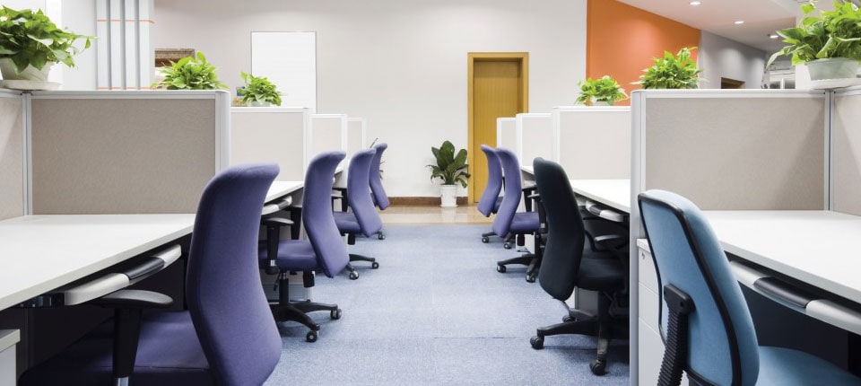 Open Plan Office Feature